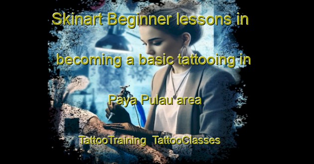 Skinart Beginner lessons in becoming a basic tattooing in Paya Pulau area | TattooTraining | TattooClasses | SkinartTraining-Malaysia