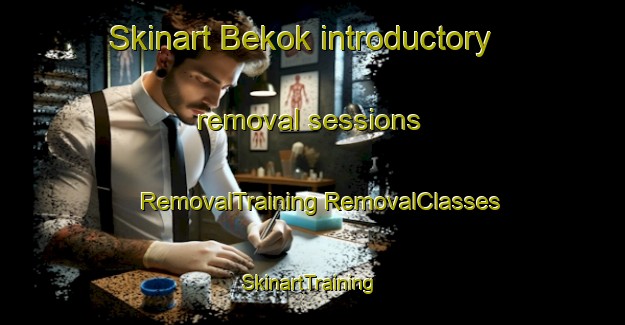 Skinart Bekok introductory removal sessions | #RemovalTraining #RemovalClasses #SkinartTraining-Malaysia