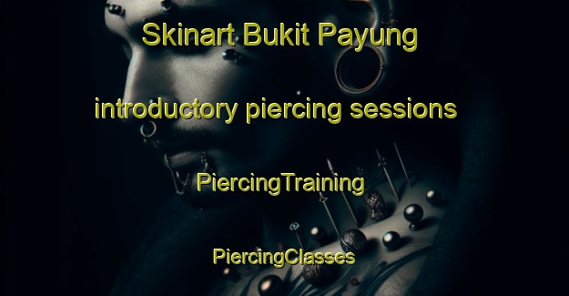 Skinart Bukit Payung introductory piercing sessions | #PiercingTraining #PiercingClasses #SkinartTraining-Malaysia