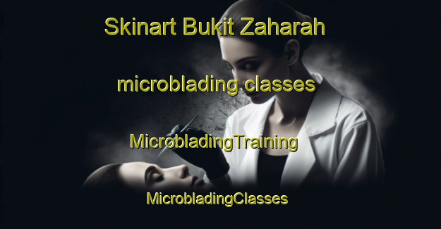 Skinart Bukit Zaharah microblading classes | MicrobladingTraining | MicrobladingClasses | SkinartTraining-Malaysia