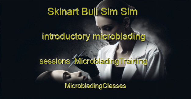 Skinart Buli Sim Sim introductory microblading sessions | #MicrobladingTraining #MicrobladingClasses #SkinartTraining-Malaysia