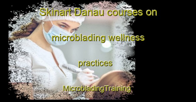 Skinart Danau courses on microblading wellness practices | #MicrobladingTraining #MicrobladingClasses #SkinartTraining-Malaysia