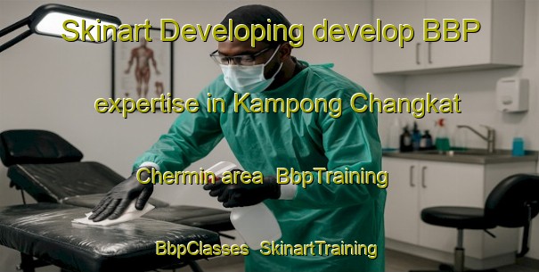 Skinart Developing develop BBP expertise in Kampong Changkat Chermin area | BbpTraining | BbpClasses | SkinartTraining-Malaysia