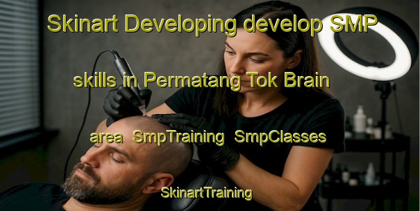 Skinart Developing develop SMP skills in Permatang Tok Brain area | SmpTraining | SmpClasses | SkinartTraining-Malaysia