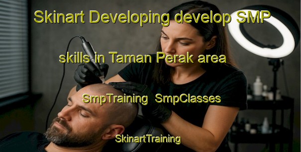 Skinart Developing develop SMP skills in Taman Perak area | SmpTraining | SmpClasses | SkinartTraining-Malaysia