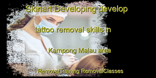 Skinart Developing develop tattoo removal skills in Kampong Malau area | #RemovalTraining #RemovalClasses #SkinartTraining-Malaysia