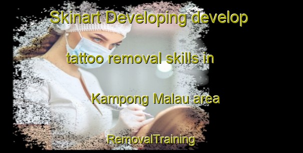 Skinart Developing develop tattoo removal skills in Kampong Malau area | RemovalTraining | RemovalClasses | SkinartTraining-Malaysia