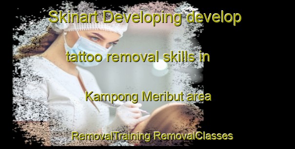 Skinart Developing develop tattoo removal skills in Kampong Meribut area | #RemovalTraining #RemovalClasses #SkinartTraining-Malaysia