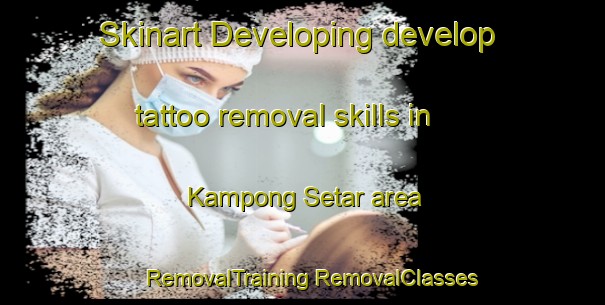 Skinart Developing develop tattoo removal skills in Kampong Setar area | #RemovalTraining #RemovalClasses #SkinartTraining-Malaysia