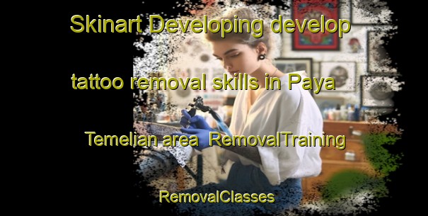 Skinart Developing develop tattoo removal skills in Paya Temelian area | RemovalTraining | RemovalClasses | SkinartTraining-Malaysia