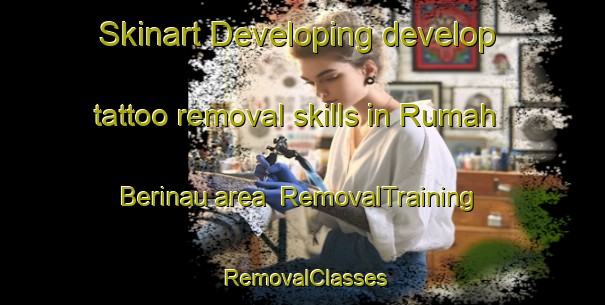 Skinart Developing develop tattoo removal skills in Rumah Berinau area | RemovalTraining | RemovalClasses | SkinartTraining-Malaysia