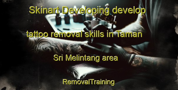 Skinart Developing develop tattoo removal skills in Taman Sri Melintang area | RemovalTraining | RemovalClasses | SkinartTraining-Malaysia