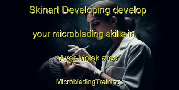 Skinart Developing develop your microblading skills in Ayer Molek area | #MicrobladingTraining #MicrobladingClasses #SkinartTraining-Malaysia