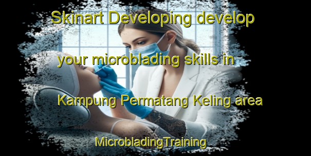 Skinart Developing develop your microblading skills in Kampung Permatang Keling area | MicrobladingTraining | MicrobladingClasses | SkinartTraining-Malaysia