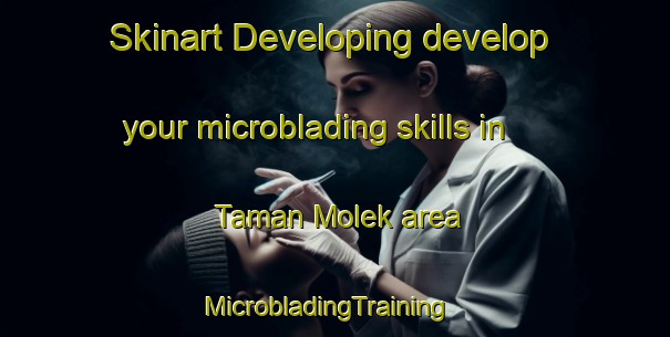 Skinart Developing develop your microblading skills in Taman Molek area | MicrobladingTraining | MicrobladingClasses | SkinartTraining-Malaysia