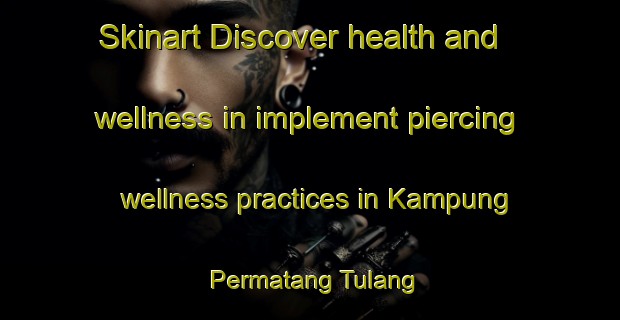 Skinart Discover health and wellness in implement piercing wellness practices in Kampung Permatang Tulang | PiercingTraining | PiercingClasses | SkinartTraining-Malaysia