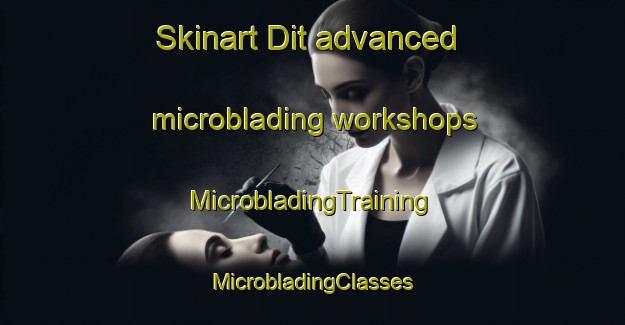 Skinart Dit advanced microblading workshops | #MicrobladingTraining #MicrobladingClasses #SkinartTraining-Malaysia