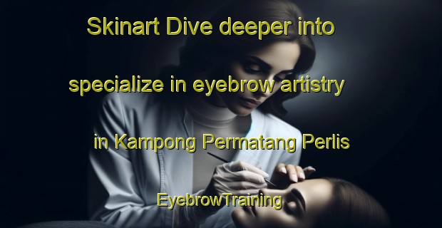 Skinart Dive deeper into specialize in eyebrow artistry in Kampong Permatang Perlis | EyebrowTraining | EyebrowClasses | SkinartTraining-Malaysia