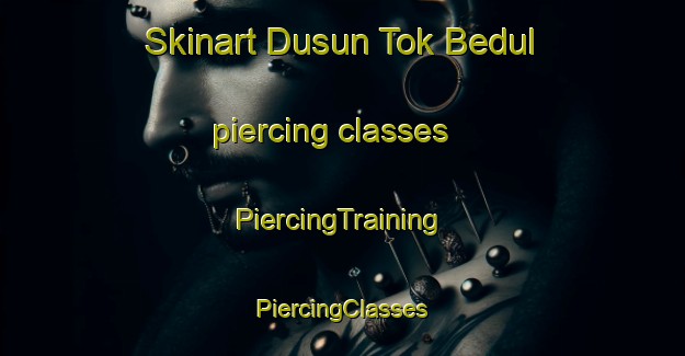 Skinart Dusun Tok Bedul piercing classes | #PiercingTraining #PiercingClasses #SkinartTraining-Malaysia