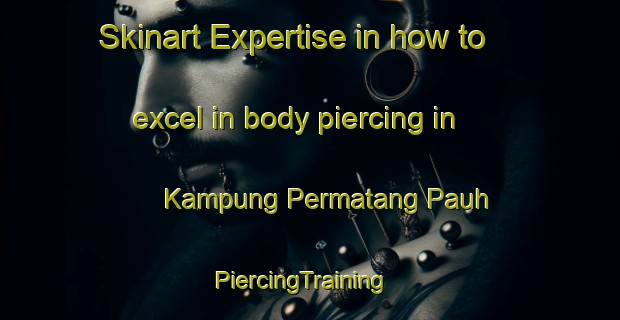 Skinart Expertise in how to excel in body piercing in Kampung Permatang Pauh | PiercingTraining | PiercingClasses | SkinartTraining-Malaysia