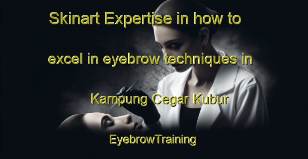 Skinart Expertise in how to excel in eyebrow techniques in Kampung Cegar Kubur | EyebrowTraining | EyebrowClasses | SkinartTraining-Malaysia