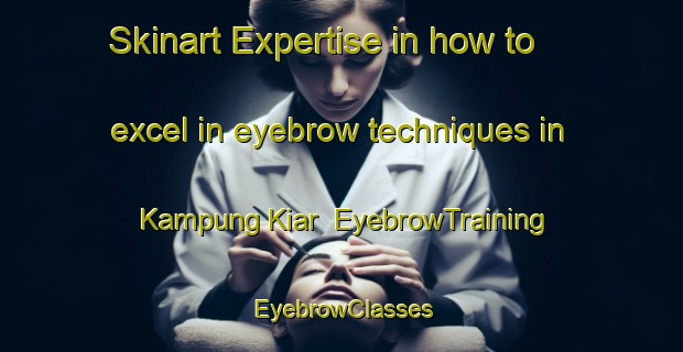 Skinart Expertise in how to excel in eyebrow techniques in Kampung Kiar | EyebrowTraining | EyebrowClasses | SkinartTraining-Malaysia