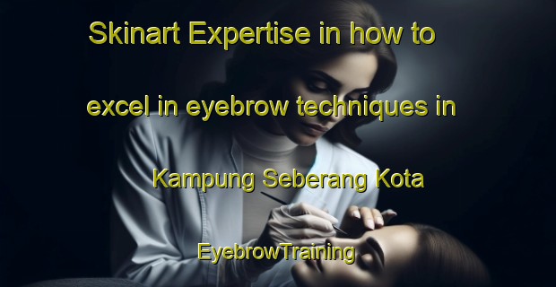 Skinart Expertise in how to excel in eyebrow techniques in Kampung Seberang Kota | EyebrowTraining | EyebrowClasses | SkinartTraining-Malaysia