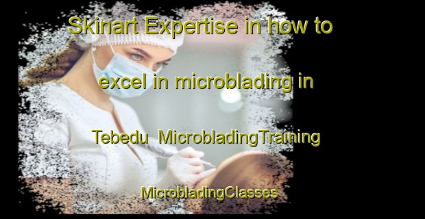 Skinart Expertise in how to excel in microblading in Tebedu | MicrobladingTraining | MicrobladingClasses | SkinartTraining-Malaysia