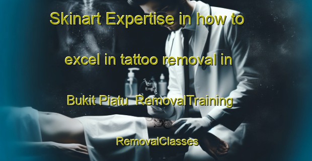 Skinart Expertise in how to excel in tattoo removal in Bukit Piatu | RemovalTraining | RemovalClasses | SkinartTraining-Malaysia
