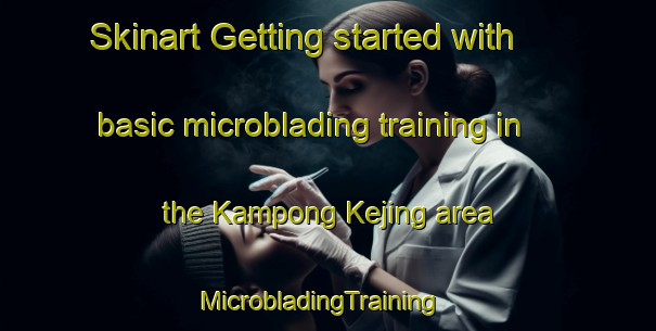 Skinart Getting started with basic microblading training in the Kampong Kejing area | MicrobladingTraining | MicrobladingClasses | SkinartTraining-Malaysia
