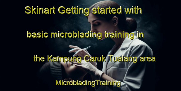 Skinart Getting started with basic microblading training in the Kampung Caruk Tualang area | MicrobladingTraining | MicrobladingClasses | SkinartTraining-Malaysia
