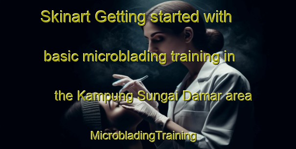 Skinart Getting started with basic microblading training in the Kampung Sungai Damar area | MicrobladingTraining | MicrobladingClasses | SkinartTraining-Malaysia
