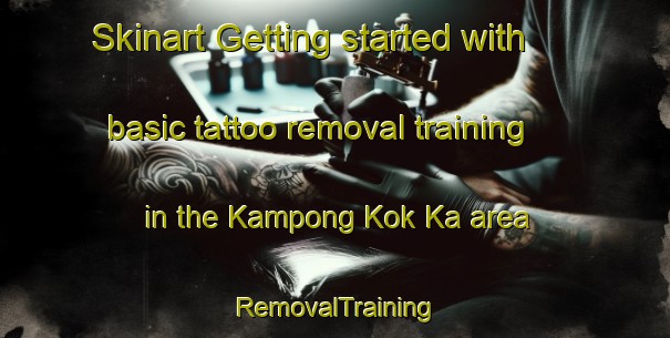Skinart Getting started with basic tattoo removal training in the Kampong Kok Ka area | RemovalTraining | RemovalClasses | SkinartTraining-Malaysia