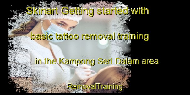 Skinart Getting started with basic tattoo removal training in the Kampong Seri Dalam area | RemovalTraining | RemovalClasses | SkinartTraining-Malaysia