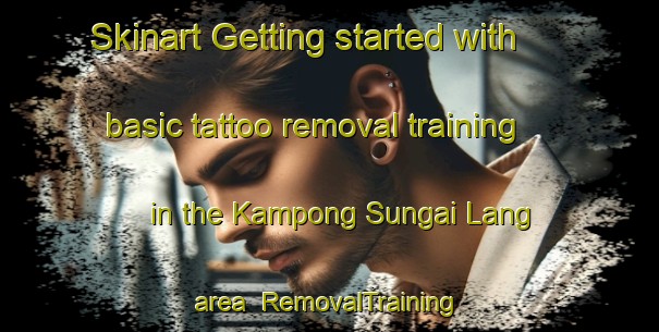 Skinart Getting started with basic tattoo removal training in the Kampong Sungai Lang area | RemovalTraining | RemovalClasses | SkinartTraining-Malaysia