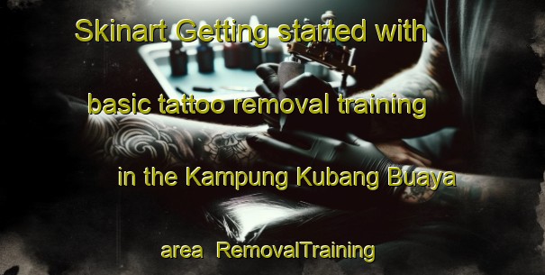 Skinart Getting started with basic tattoo removal training in the Kampung Kubang Buaya area | RemovalTraining | RemovalClasses | SkinartTraining-Malaysia