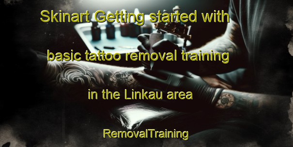 Skinart Getting started with basic tattoo removal training in the Linkau area | RemovalTraining | RemovalClasses | SkinartTraining-Malaysia