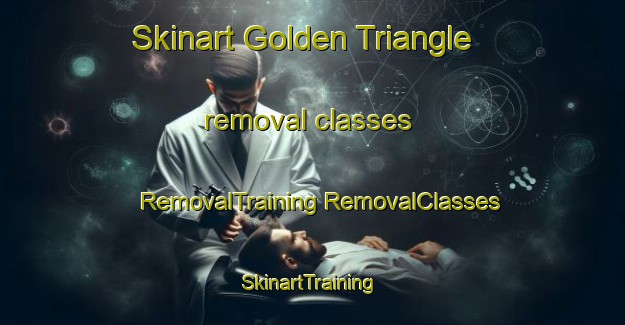 Skinart Golden Triangle removal classes | #RemovalTraining #RemovalClasses #SkinartTraining-Malaysia