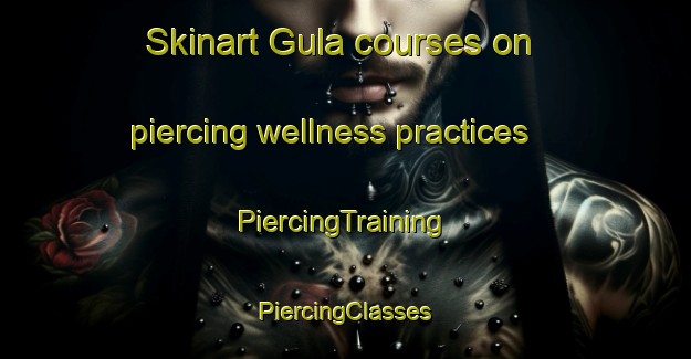 Skinart Gula courses on piercing wellness practices | #PiercingTraining #PiercingClasses #SkinartTraining-Malaysia