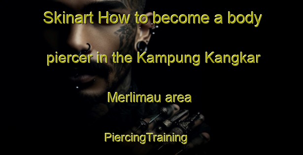 Skinart How to become a body piercer in the Kampung Kangkar Merlimau area | PiercingTraining | PiercingClasses | SkinartTraining-Malaysia