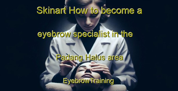 Skinart How to become a eyebrow specialist in the Padang Halus area | EyebrowTraining | EyebrowClasses | SkinartTraining-Malaysia