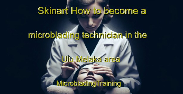 Skinart How to become a microblading technician in the Ulu Melaka area | MicrobladingTraining | MicrobladingClasses | SkinartTraining-Malaysia