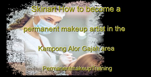 Skinart How to become a permanent makeup artist in the Kampong Alor Gajah area | PermanentmakeupTraining | PermanentmakeupClasses | SkinartTraining-Malaysia