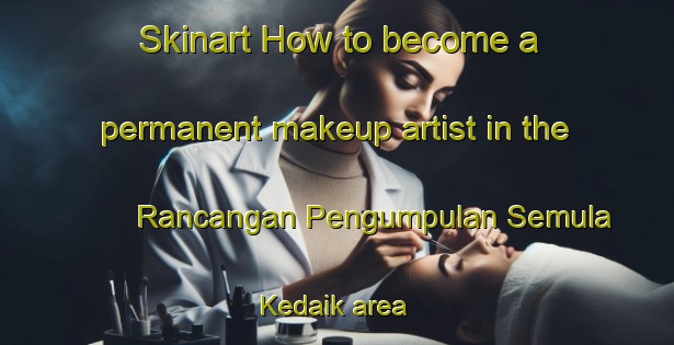 Skinart How to become a permanent makeup artist in the Rancangan Pengumpulan Semula Kedaik area | PermanentmakeupTraining | PermanentmakeupClasses | SkinartTraining-Malaysia