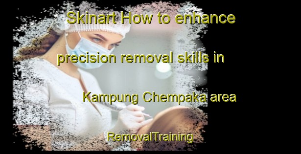 Skinart How to enhance precision removal skills in Kampung Chempaka area | RemovalTraining | RemovalClasses | SkinartTraining-Malaysia