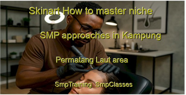 Skinart How to master niche SMP approaches in Kampung Permatang Laut area | SmpTraining | SmpClasses | SkinartTraining-Malaysia