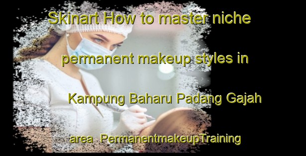 Skinart How to master niche permanent makeup styles in Kampung Baharu Padang Gajah area | PermanentmakeupTraining | PermanentmakeupClasses | SkinartTraining-Malaysia