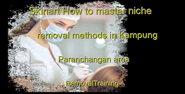 Skinart How to master niche removal methods in Kampung Paranchangan area | RemovalTraining | RemovalClasses | SkinartTraining-Malaysia