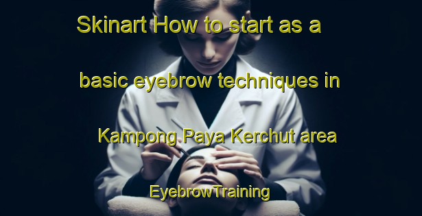 Skinart How to start as a basic eyebrow techniques in Kampong Paya Kerchut area | EyebrowTraining | EyebrowClasses | SkinartTraining-Malaysia
