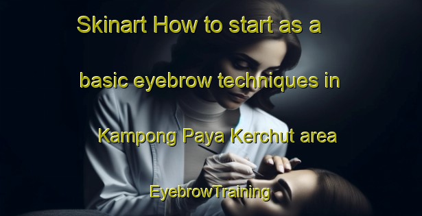 Skinart How to start as a basic eyebrow techniques in Kampong Paya Kerchut area | EyebrowTraining | EyebrowClasses | SkinartTraining-Malaysia